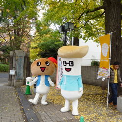 きのこシンポジウム2012