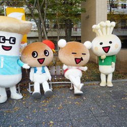 きのこシンポジウム2012