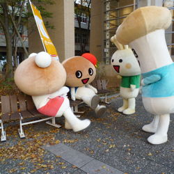 きのこシンポジウム2012