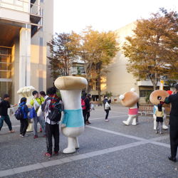 きのこシンポジウム2012